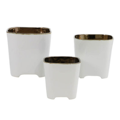 Gold Crest Planter