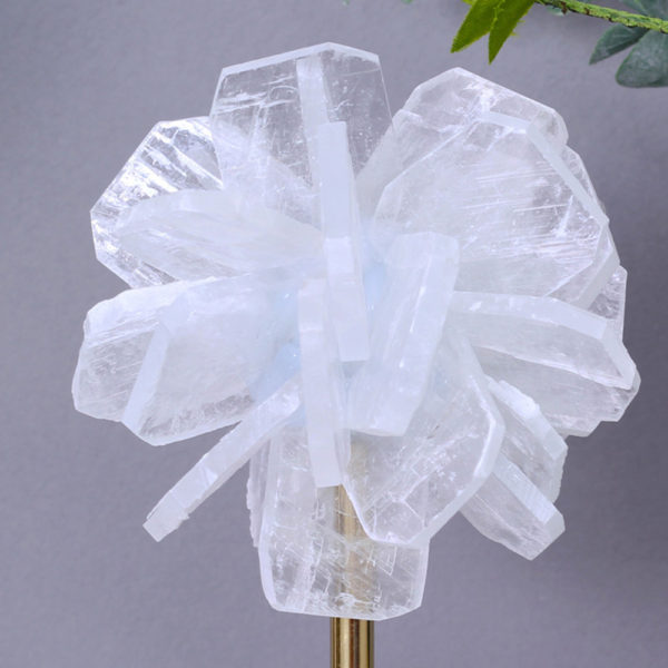 Lily Decor - Image 2