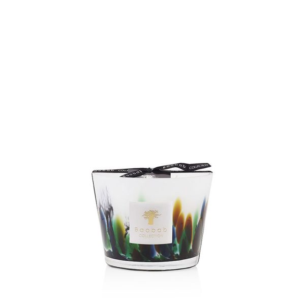 Rainforest Amazonia Candle - Image 2