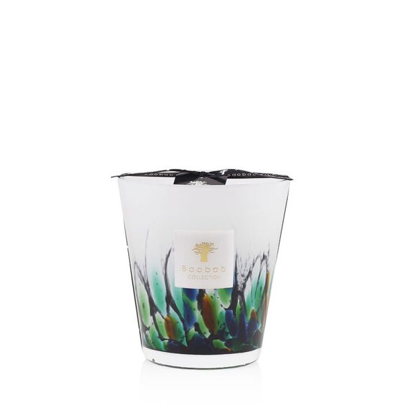 Rainforest Amazonia Candle - Image 3