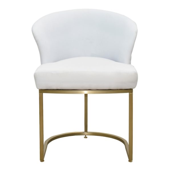 Centaurus Dining Chair - Image 2