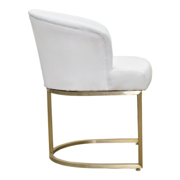 Centaurus Dining Chair - Image 3