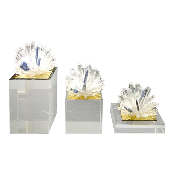 Shea Decor