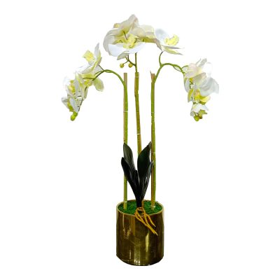 Sevy Planter