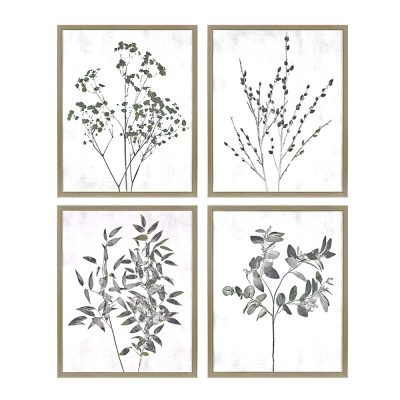 Floral Wild S/4