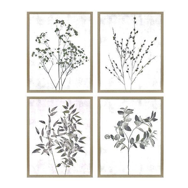 Floral Wild S/4