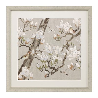 Magnolia Bloom