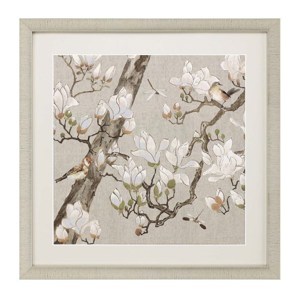 Magnolia Bloom