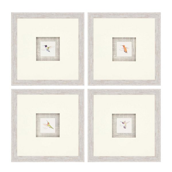 Hummingbirds S/4