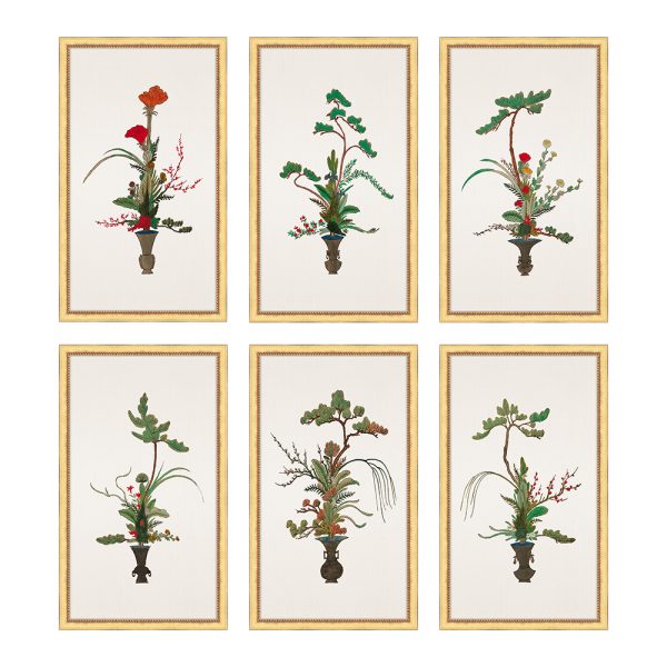 Floral Display S/6