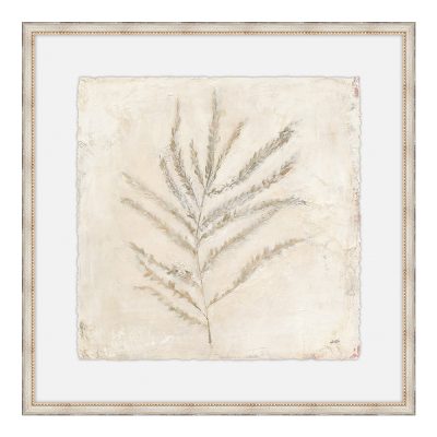 Plantlife I
