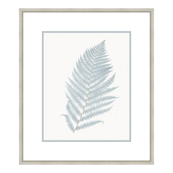 Bittner Stillwater Ferns I