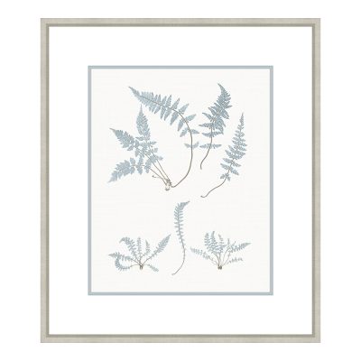 Bittner Stillwater Ferns IV