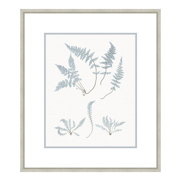 Bittner Stillwater Ferns IV