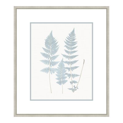 Bittner Stillwater Ferns VI