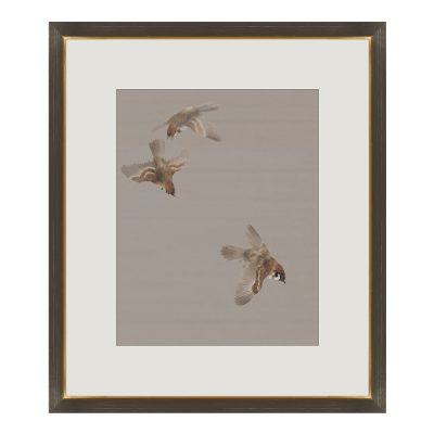 Birds on the Branch III