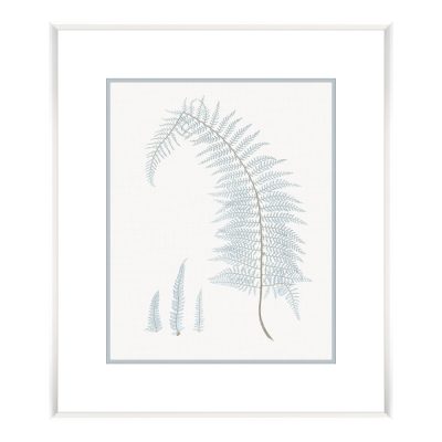 Bittner Stillwater Ferns II