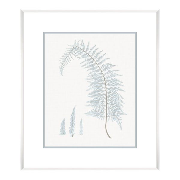 Bittner Stillwater Ferns II