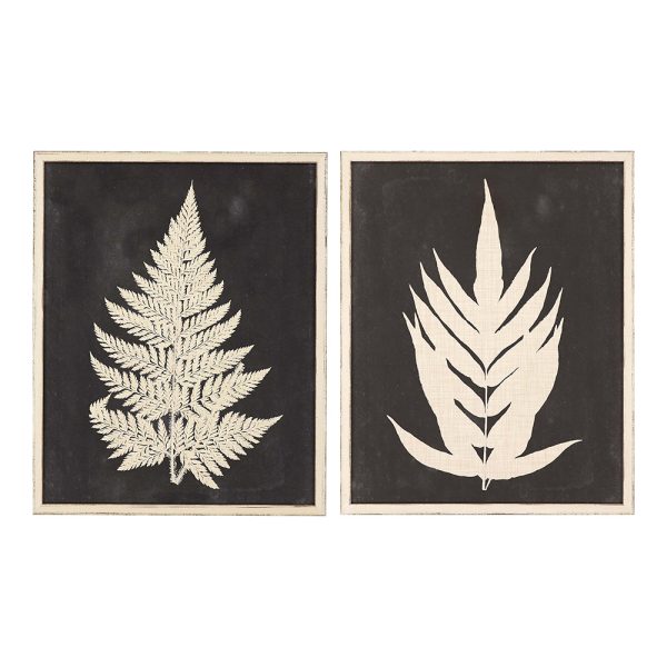 Linen Fern I S/2
