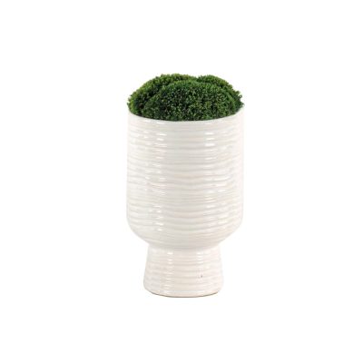 Textured Urn of Mood Moss