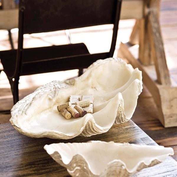 Imperial Clam - Image 2
