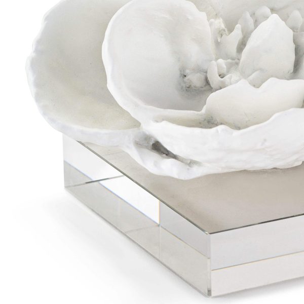 Magnolia Decor - Image 3