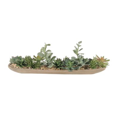 Mauve Succulents in Wood Boat