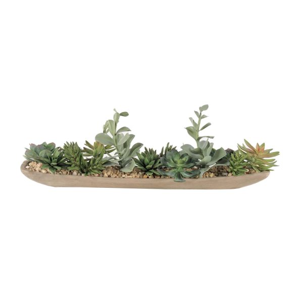 Mauve Succulents in Wood Boat