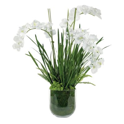 White Vanda Orchids