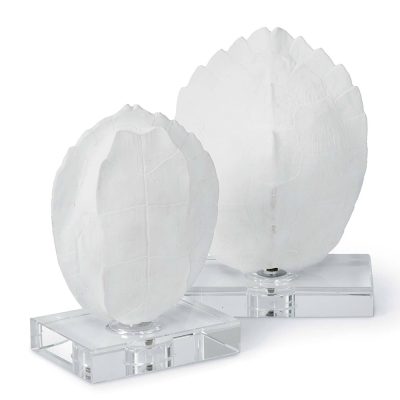 Turtle Shells