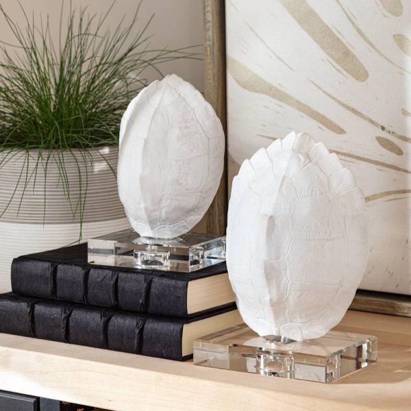 Turtle Shells - Image 3