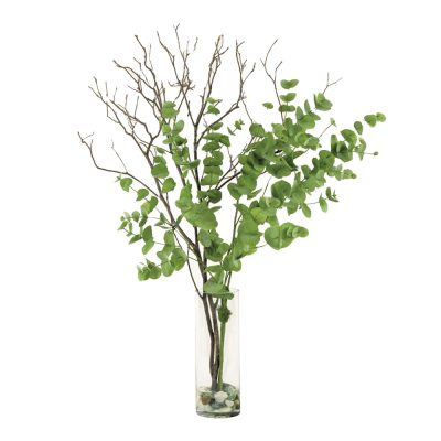 Eucalyptus w/Branches in Water