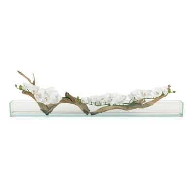 White Phalaenopsis w/Ghost Wood
