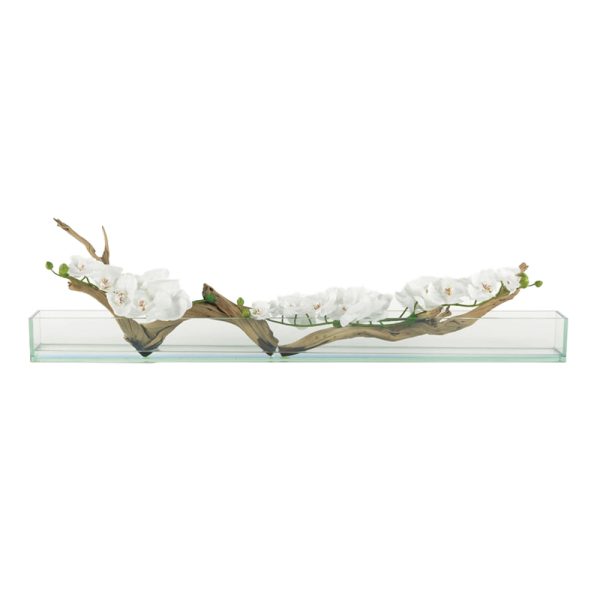 White Phalaenopsis w/Ghost Wood