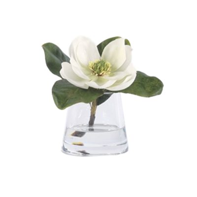 Magnolias In Water