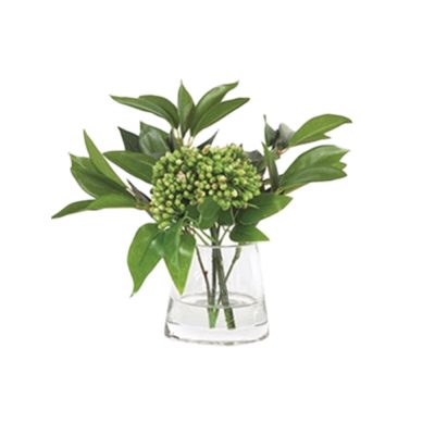 Green Sedum in Water
