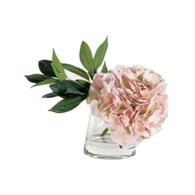 Single Blush Hydrangea in Pyramid