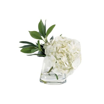 Single White Hydrangea in Pyramid