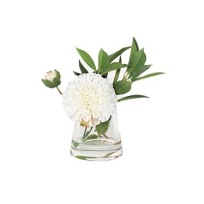Dahlia Accent in Water