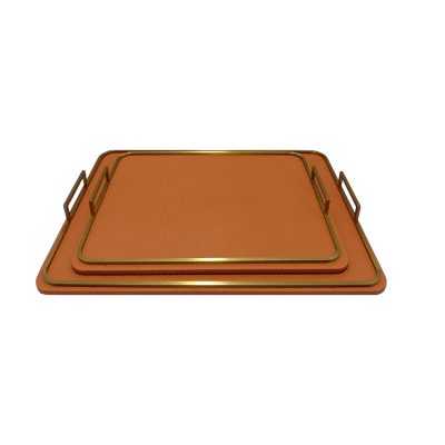 Wena Tray