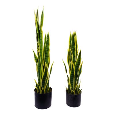 Snake Planter A