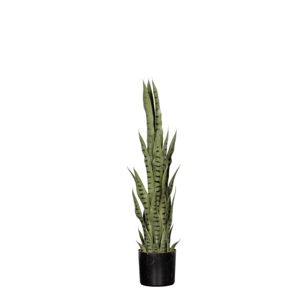 Snake Planter B - Image 2
