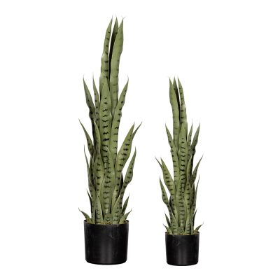 Snake Planter B