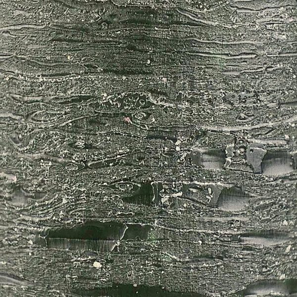 Luz Your Senses Velours / Taxus - Image 2