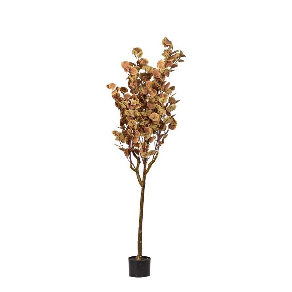 Eucalyptus Orange Artifical Plant - Image 3