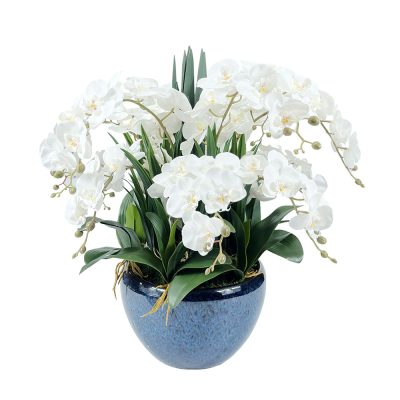 Luxury Giant Orchids Ivory White