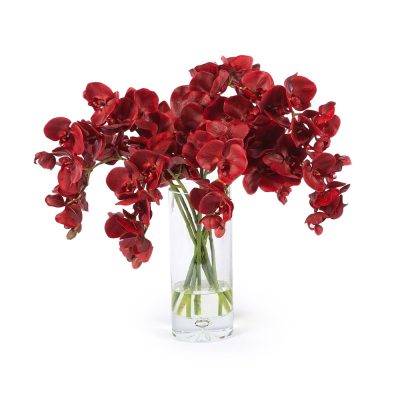 Deep Red Phalaenopsis Orchid Center Piece