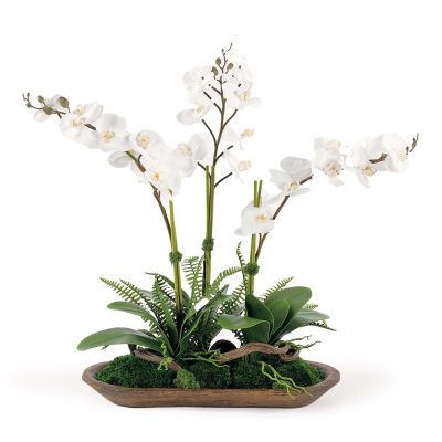 White Orchids in Oval Wood