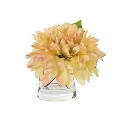Yellow Dahlia in Pyramid Vase