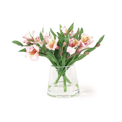 Pink Alstromeria Accent in Water